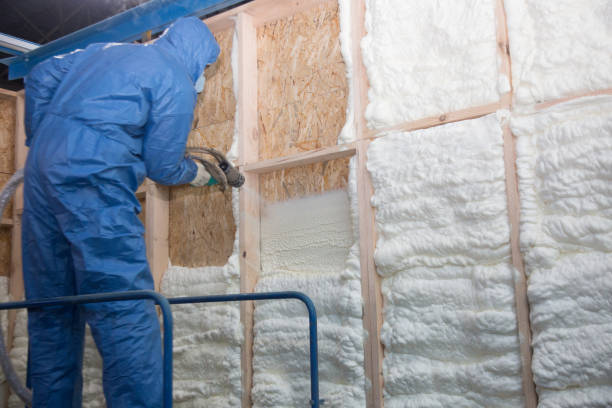 Best Commercial Insulation Services in Dry Ridge, OH